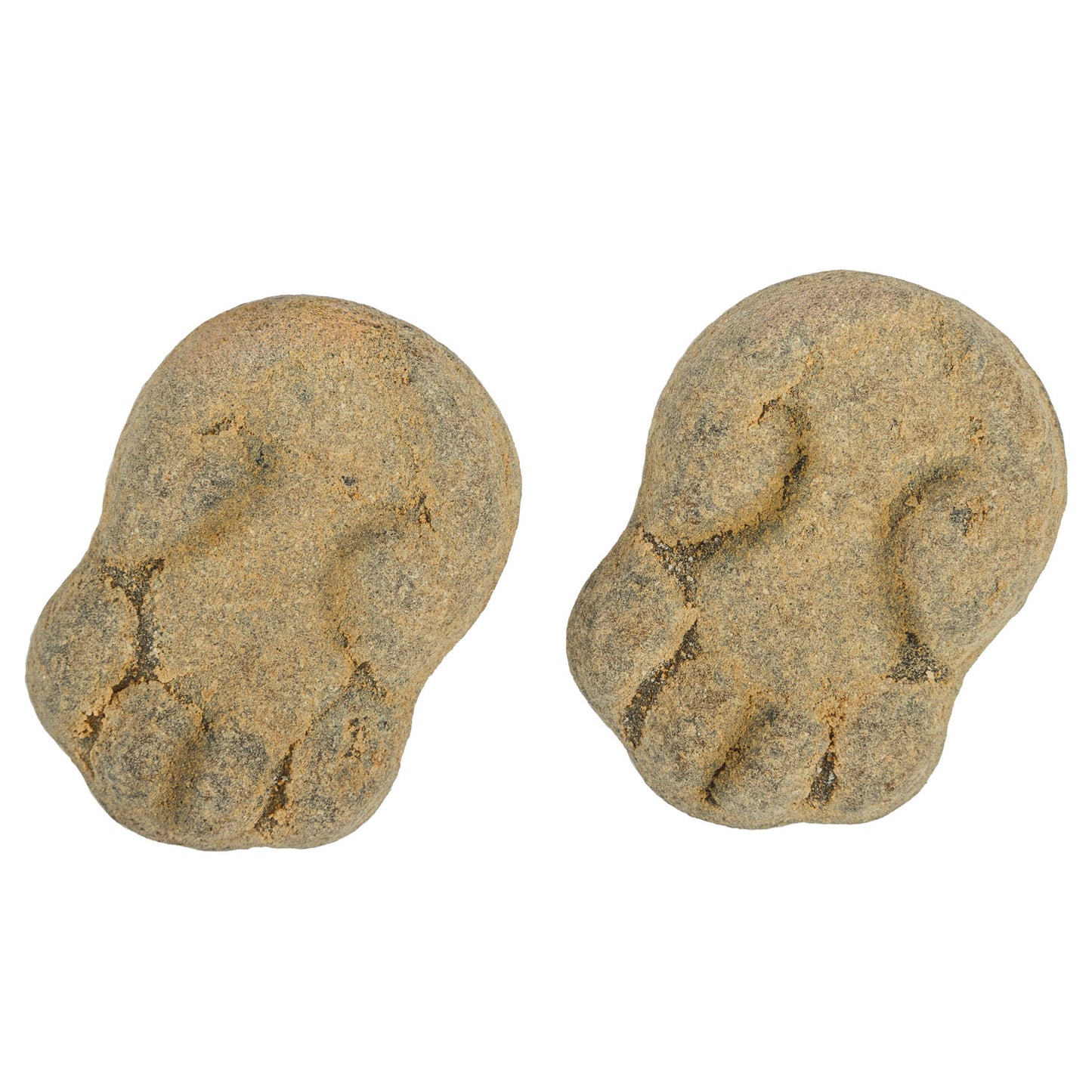 20 - Salmiak Lakritz Frösche Lutschbonbons