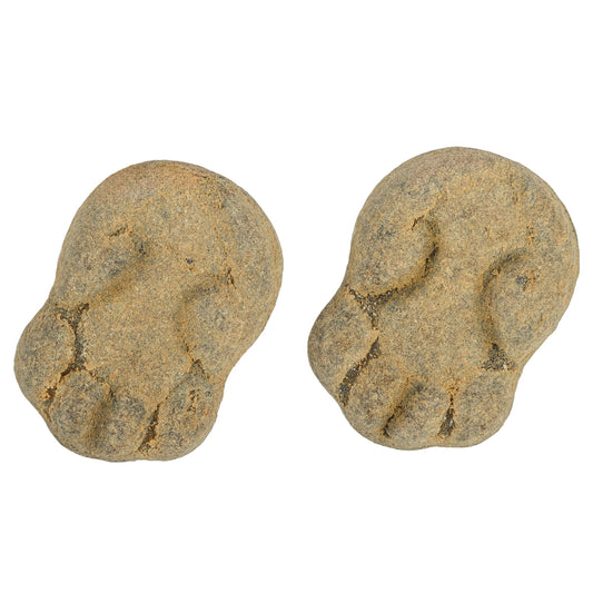 20 - Salmiak Lakritz Frösche Lutschbonbons